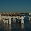 stage-grand-sud-2008-065