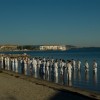 stage-grand-sud-2008-068