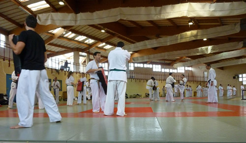 Stage de karaté Kyokushinkai "Grand Sud 2010" à Mèze