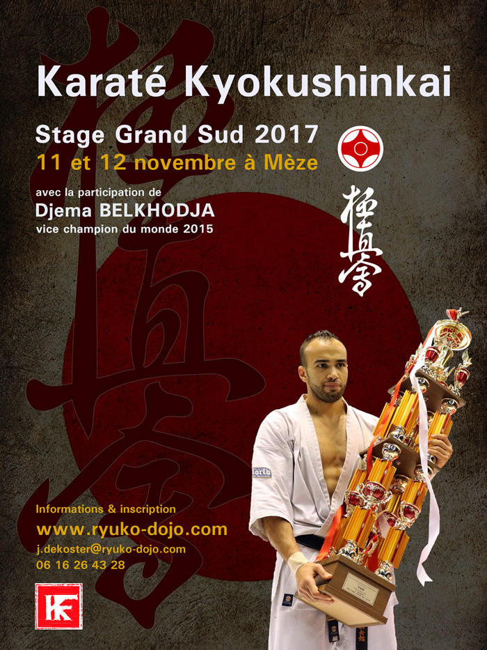 Stage de karaté Kyokushinkai à Mèze