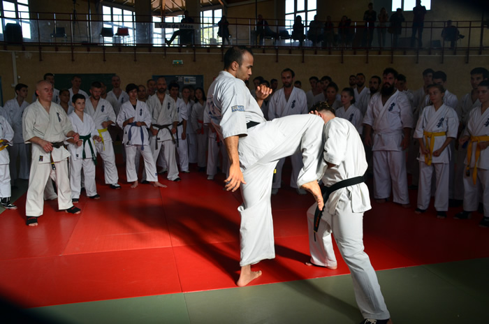 Sensie Djema BELKHODJA au stage de karaté Kyokushinkai Grand Sud 2017 à Mèze