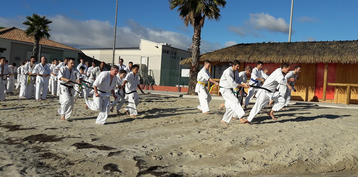 Stage de karaté Kyokushinkai Grand Sud 2017 à Mèze