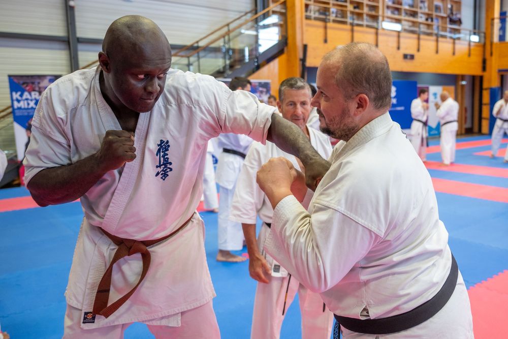 Stage national Kyokushinkai FFKDA à Castelnau-le-Lez