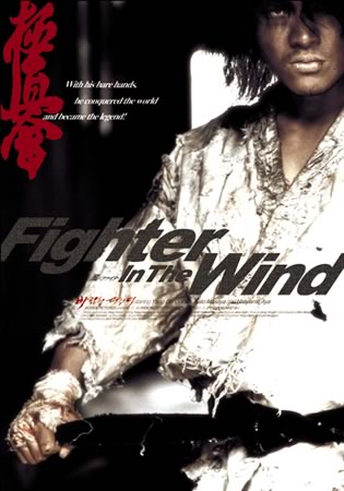 Fighter in the wind
