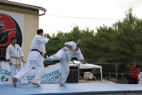 demo-cmam-2009-014