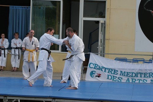 demo-cmam-2009-015